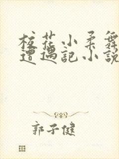 校花小柔舞蹈室遭遇记小说