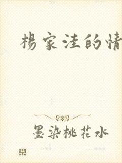 杨家洼的情事封面