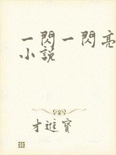 一闪一闪亮星星小说