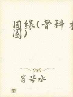 因缘(骨科 校园)