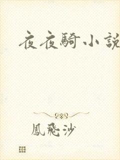 夜夜骑小说