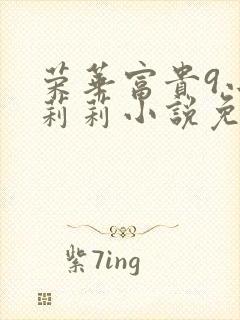 荣华富贵9小王莉莉小说免费阅读