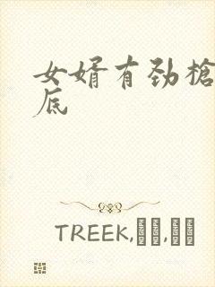 女婿有劲枪枪到底