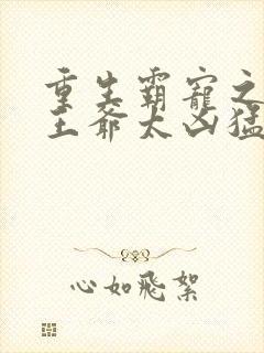 重生霸宠之摄政王爷太凶猛封面