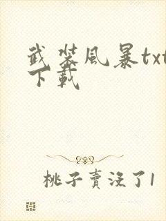 武装风暴txt下载