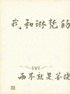 我和琳梵的故事