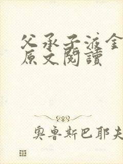 父承子液金银花原文阅读封面