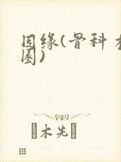 因缘(骨科 校园)