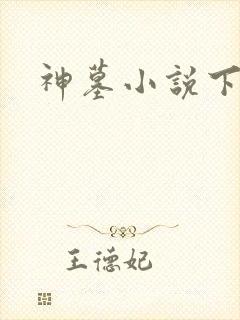 神墓小说下载