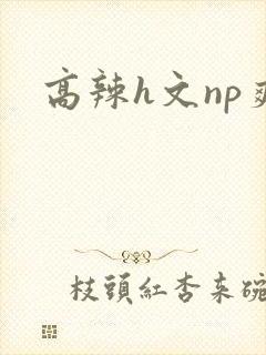高辣h文np爽