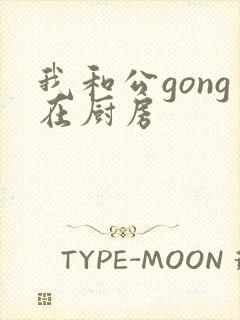 我和公gong在厨房