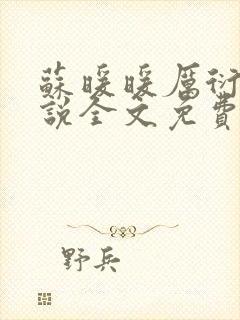 苏暖暖厉衍琛小说全文免费阅读