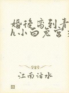 婚后脔到青梅哭h小白兔宫交h