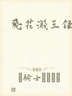飞花溅玉录封面