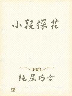 小段探花封面