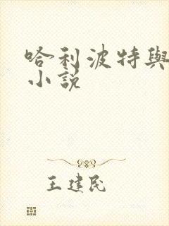 哈利波特与密室小说