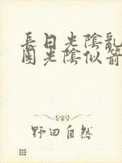 长日光阴乱作一团光阴似箭时渺