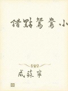 错点鸳鸯小说封面