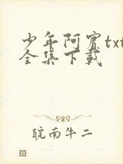 少年阿宾txt全集下载