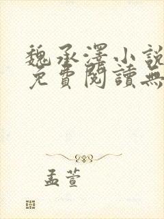 魏承泽小说全文免费阅读无弹窗笔趣