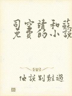 司空靖和苏月汐免费的小说笔趣阁