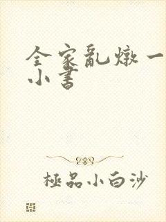 全家乱炖一锅烩小书