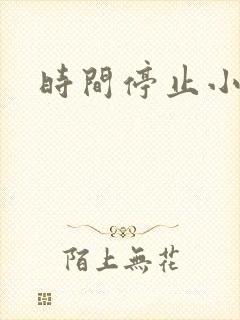 时间停止小说