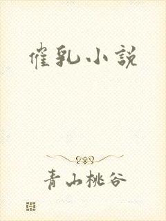 催乳小说封面