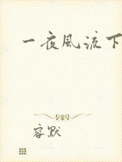 一夜风流下载封面