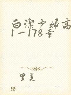 白洁少妇高义第1一178章