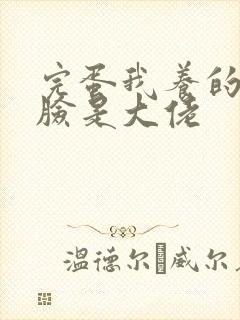 完蛋我养的小白脸是大佬