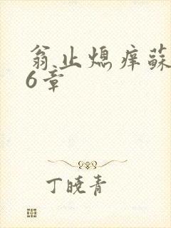 翁止熄痒苏玥第6章