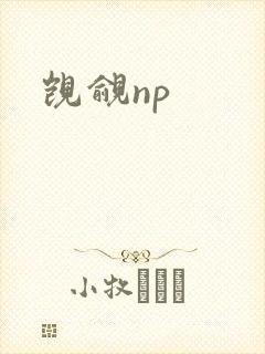觊觎np