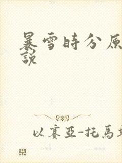 暴雪时分原著小说封面