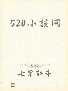 520小说网