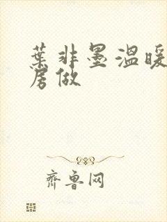 叶非墨温暖在厨房做