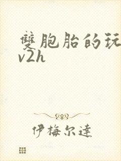 双胞胎的玩具1v2h