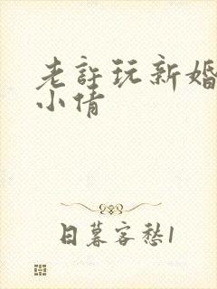 老许玩新婚少妇小倩