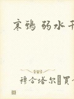 寒鸦 弱水千流