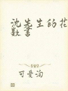 沈先生的花式调数书