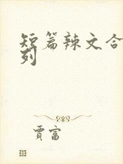 短篇辣文合集系列