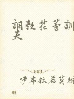 调教花蒂训诫从夫