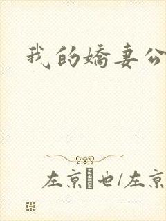 我的娇妻公务员