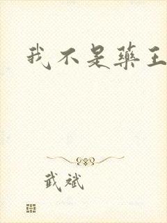 我不是药王封面