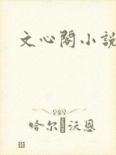 文心阁小说