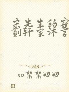 宋先生的宠妻计划轩家沐言