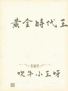 黄金时代王小波封面