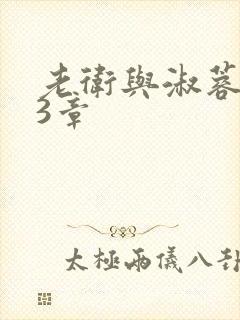 老卫与淑蓉第13章