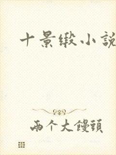 十景缎小说
