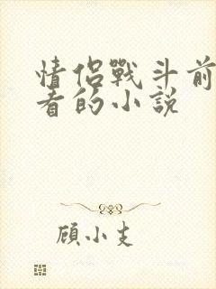 情侣战斗前适合看的小说